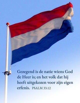 Discover chicken road online